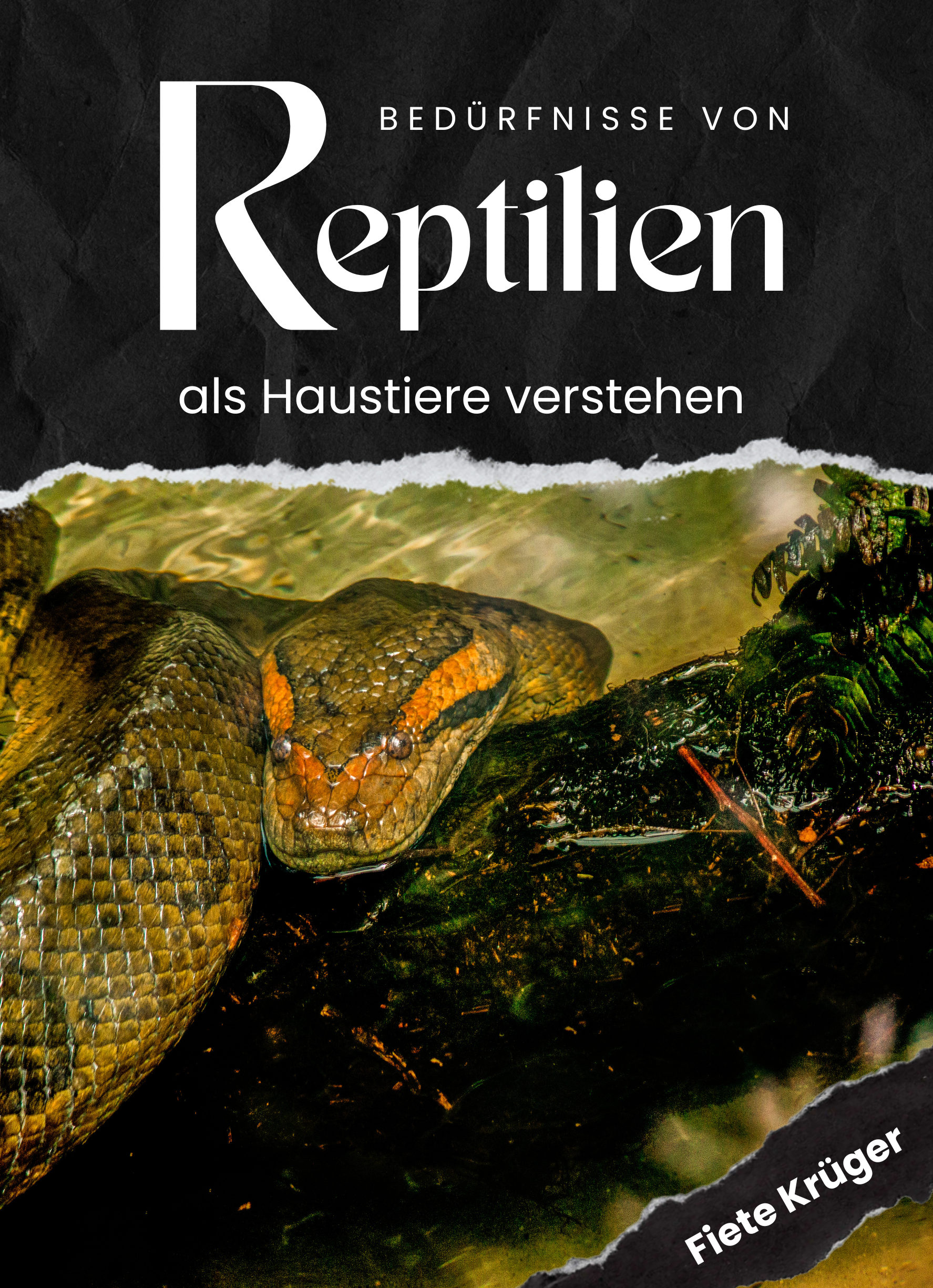 Bedürfnisse von Reptilien als Haustiere verstehen