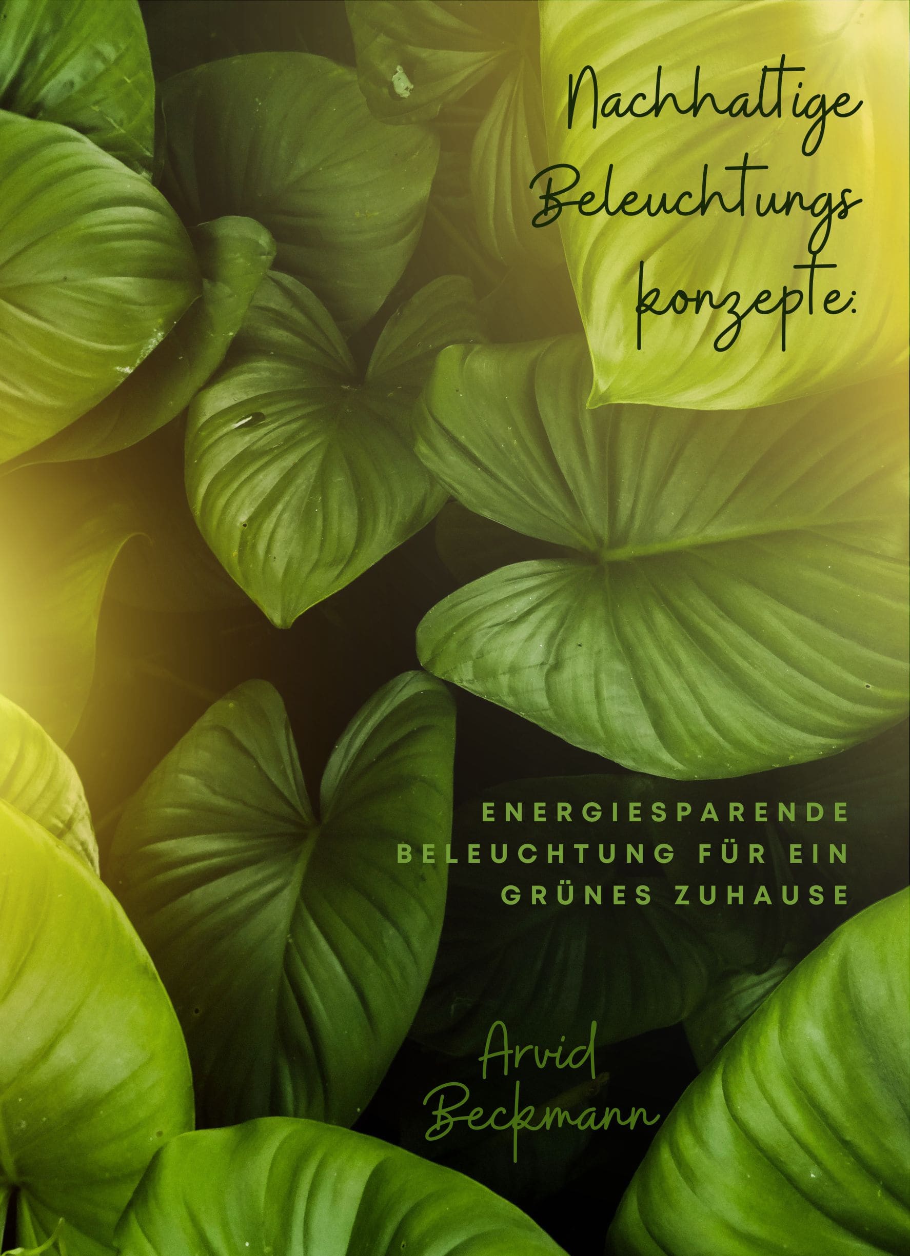 Nachhaltige Beleuchtungskonzepte