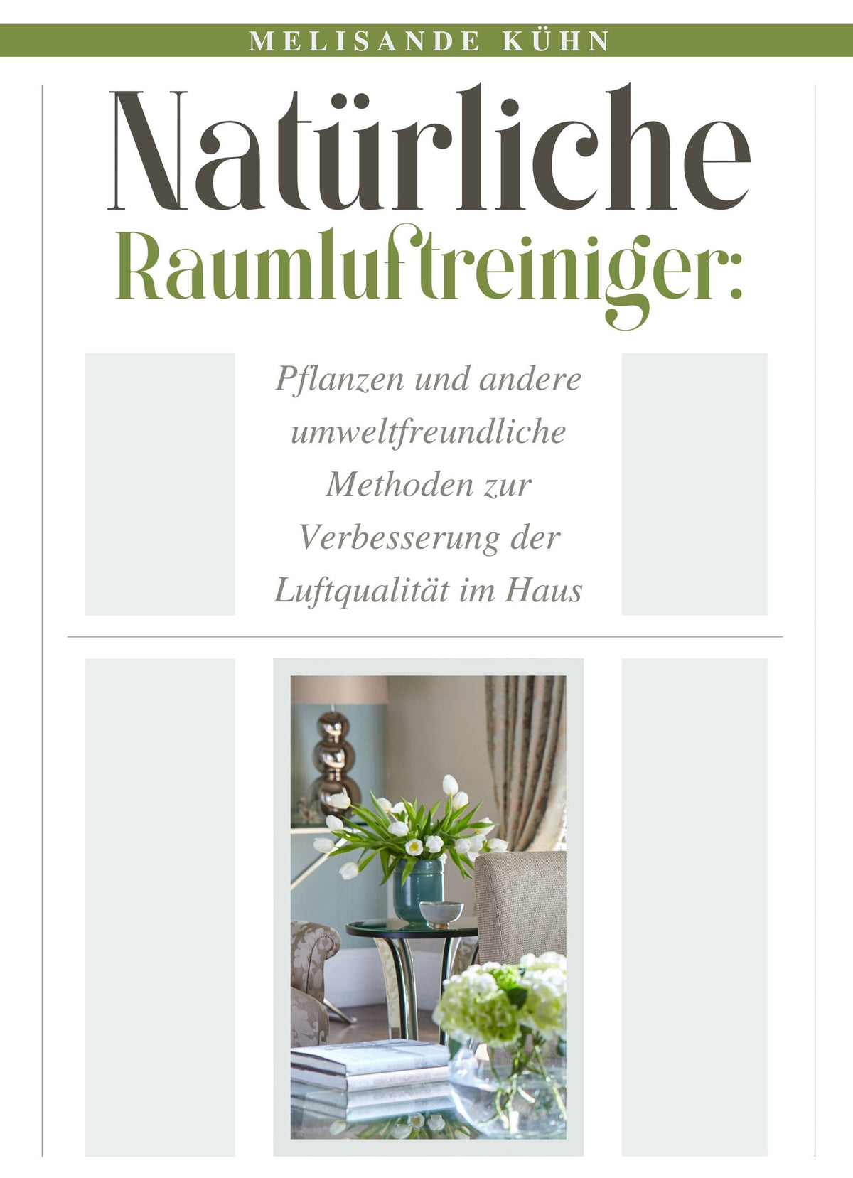 Natürliche Raumluftreiniger