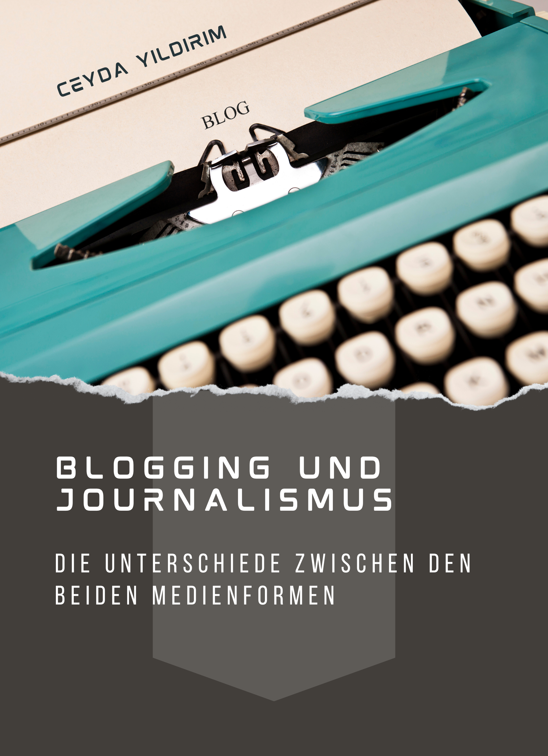 Blogging und Journalismus